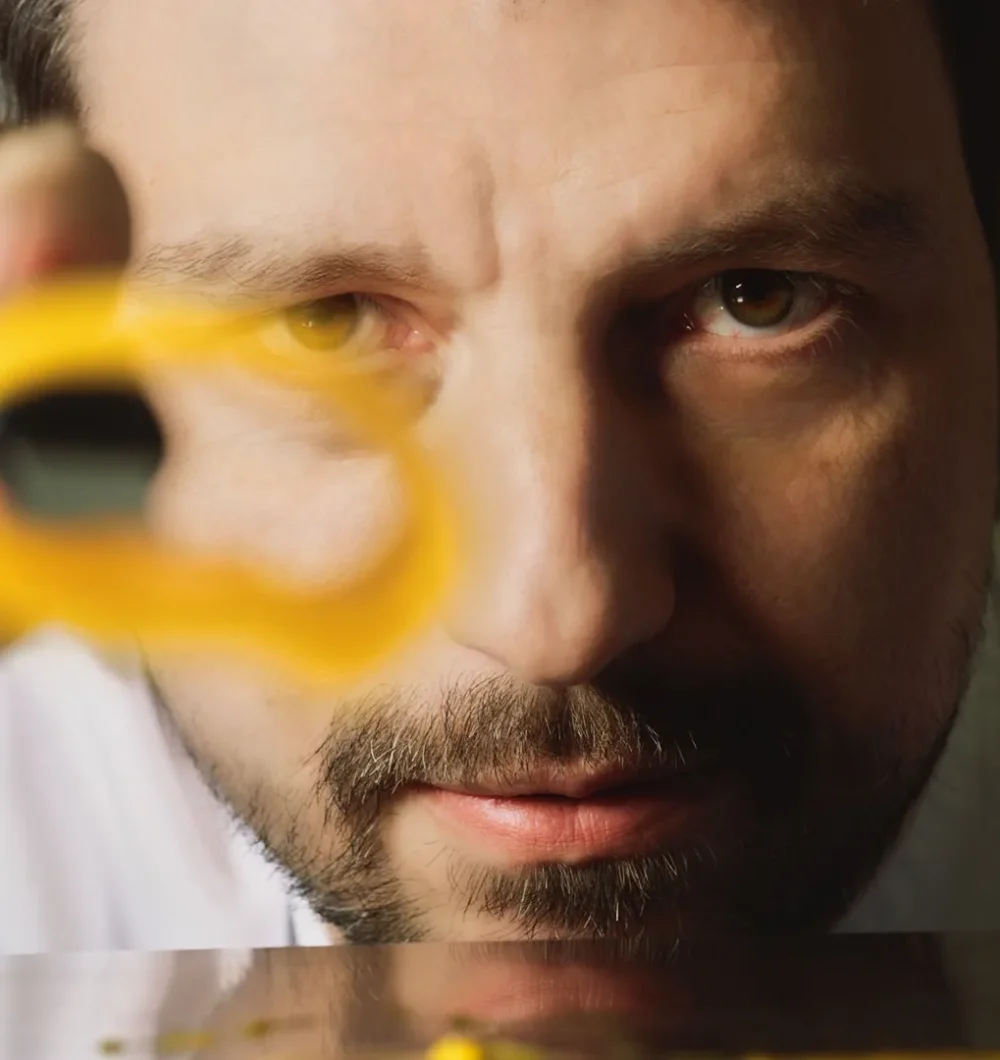 Alberto Gipponi - Dina