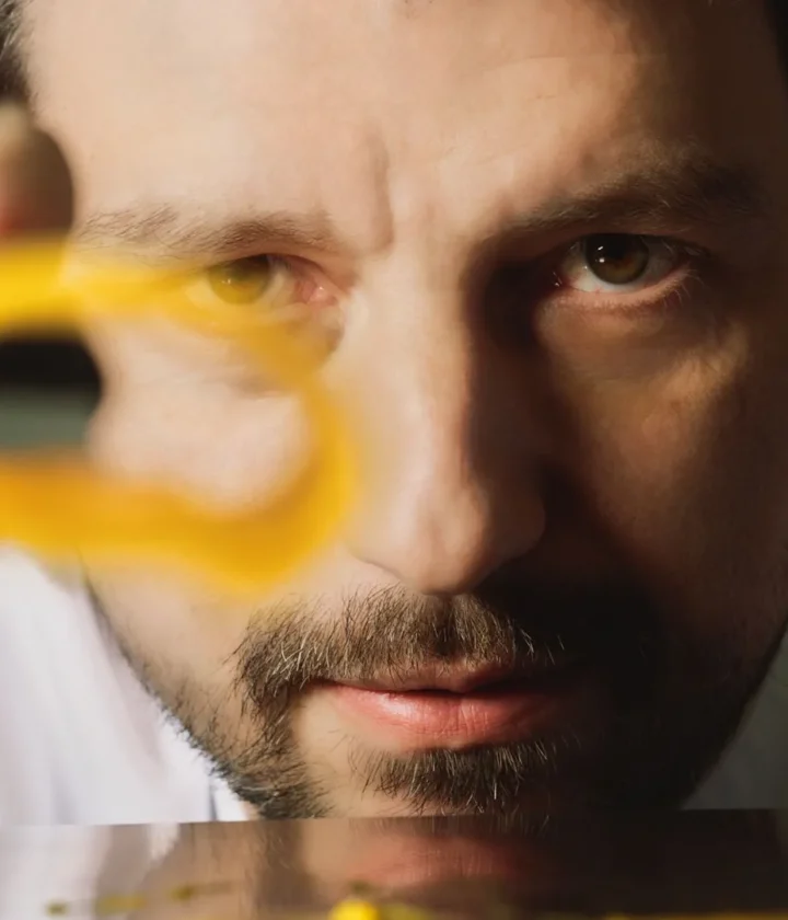 Alberto Gipponi - Dina